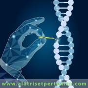 Rekayasa-Genetika-Revolusi-dalam-Pertanian