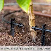 Irigasi-Tetes-Solusi-Cerdas-Hadapi-Perubahan-Iklim