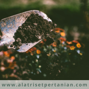 Implementasi LEISA dalam Meningkatkan Produktivitas Pertanian