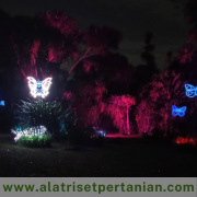 Artificial Light At Night