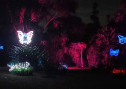 Artificial Light At Night