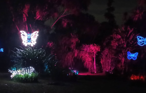 Artificial Light At Night